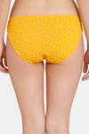 Rosaline Low Rise Full Coverage Bikini Panty (Pack of 3) - Multicolor — thumbnail 7